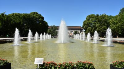 2025年秋・2026年春の都展写生会開催のお知らせ