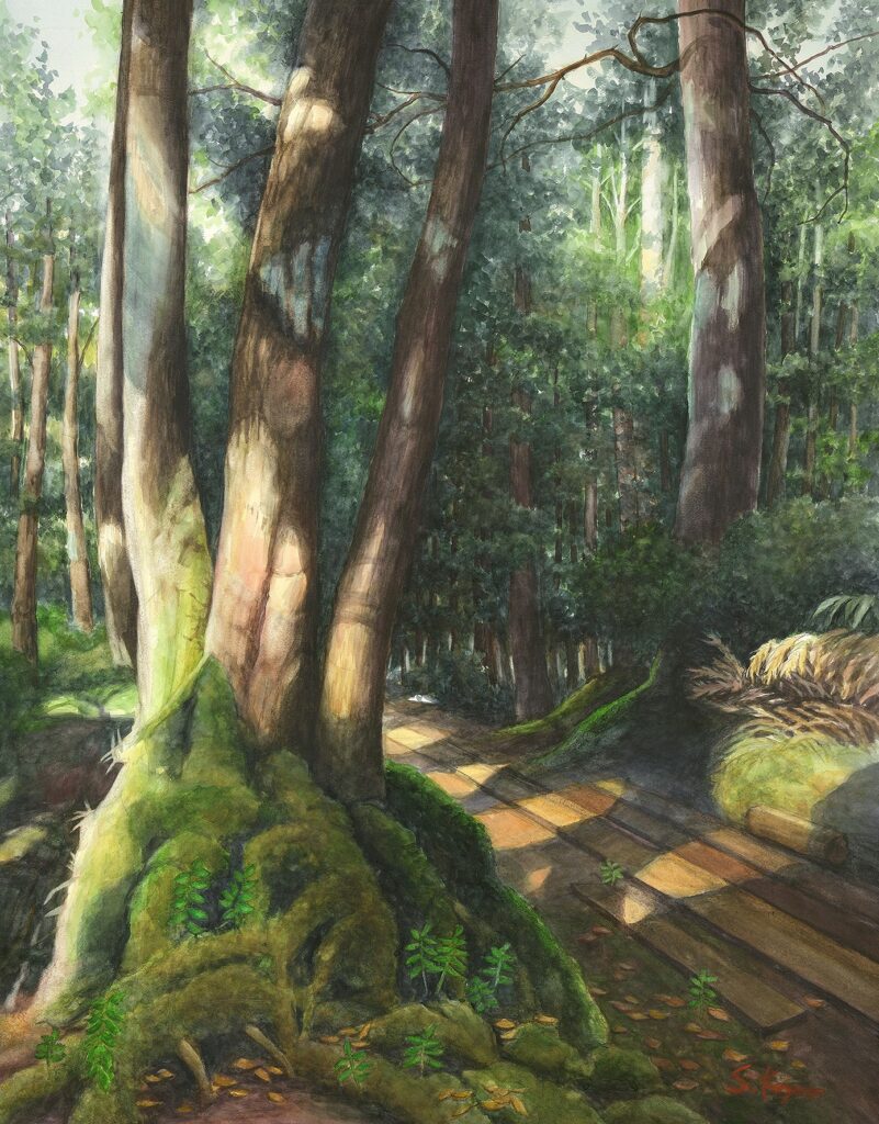 参議院議長賞「晩夏の森」葛和　幸子